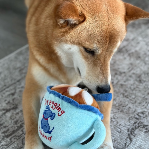 theotheshiba